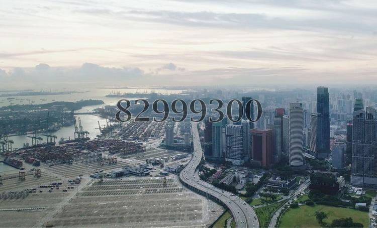 Wallich Residence At Tanjong Pagar Centre (D2), Apartment #160746432